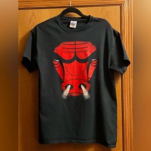 Men’s Chicago Bull’s Basketball Graphic Short Sleeved Black Gildan NBA T-Shirt